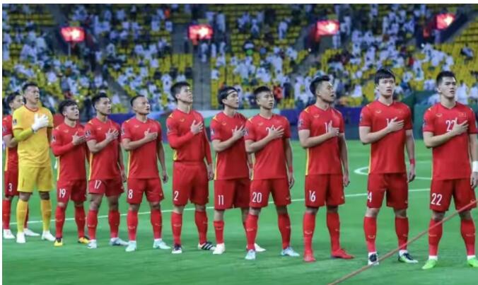 越南足球联赛职业化始于2000年，一共有12家俱乐部