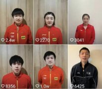 中国乒乓球队现役球员人气榜